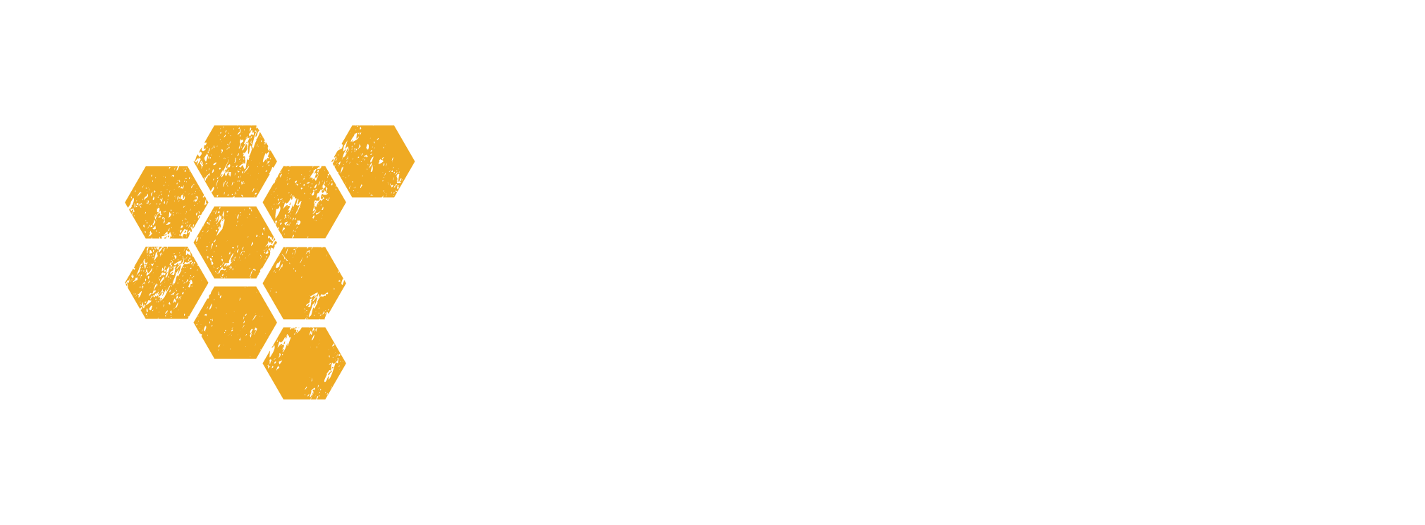 Eco Tsapi