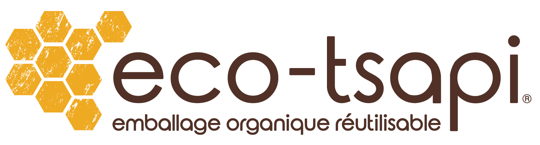 Logo eco-tsapi