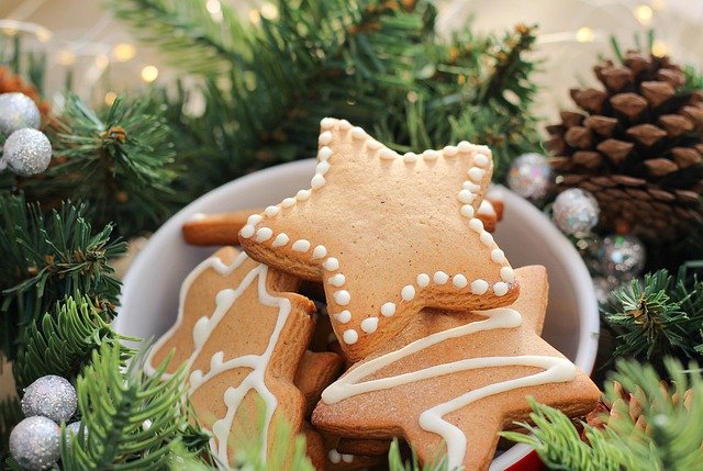 eco-tsapi biscuit Noel