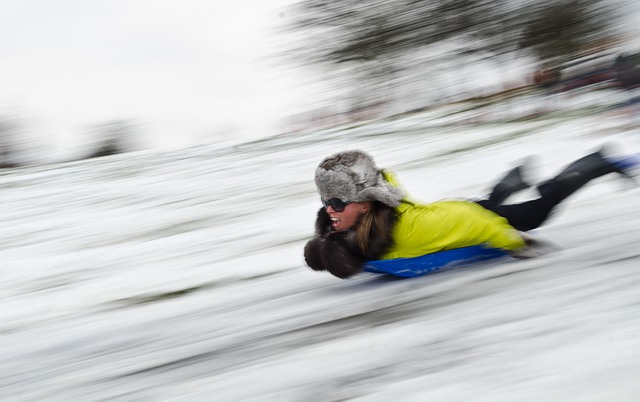 eco-tsapi luge bob