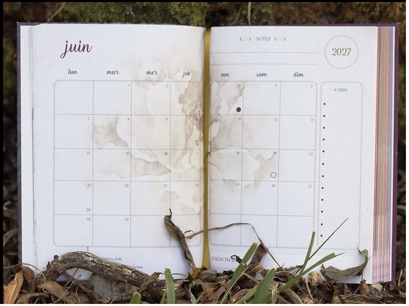 Agenda lunaire Graines de Lune 2027 - FR